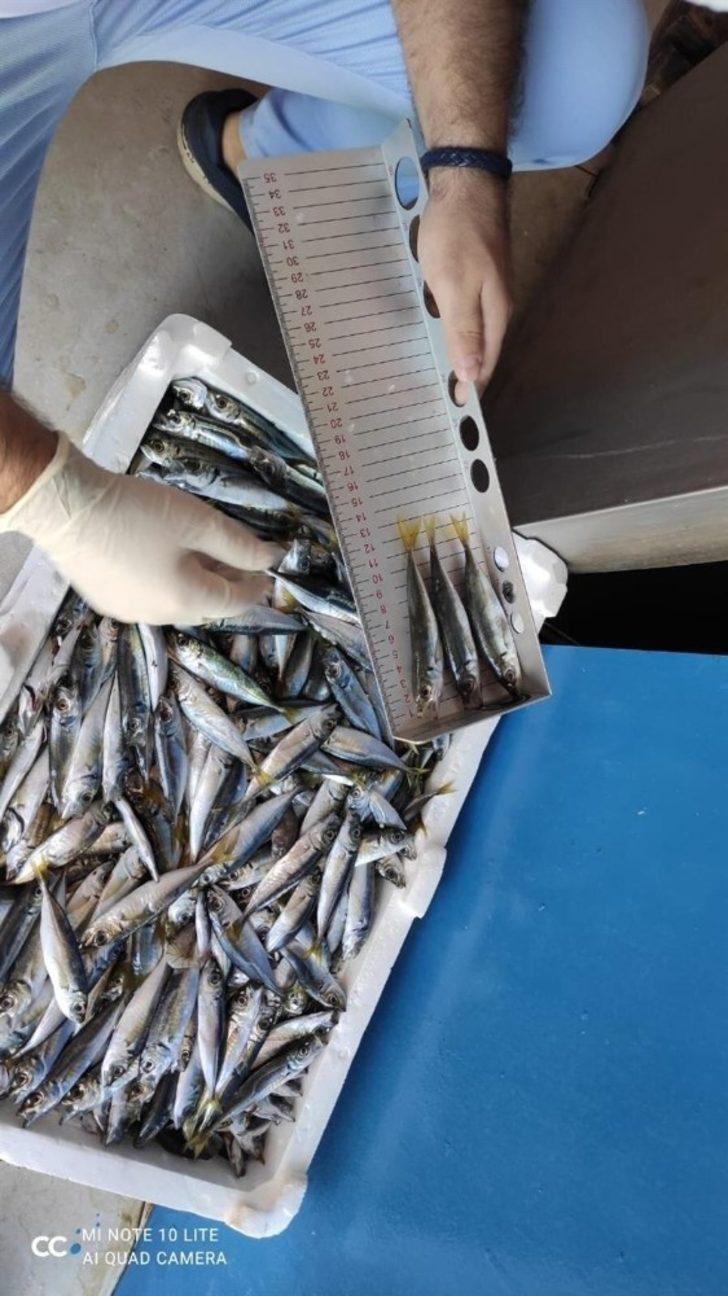 Su ürünleri satanlara sıkı takip G3