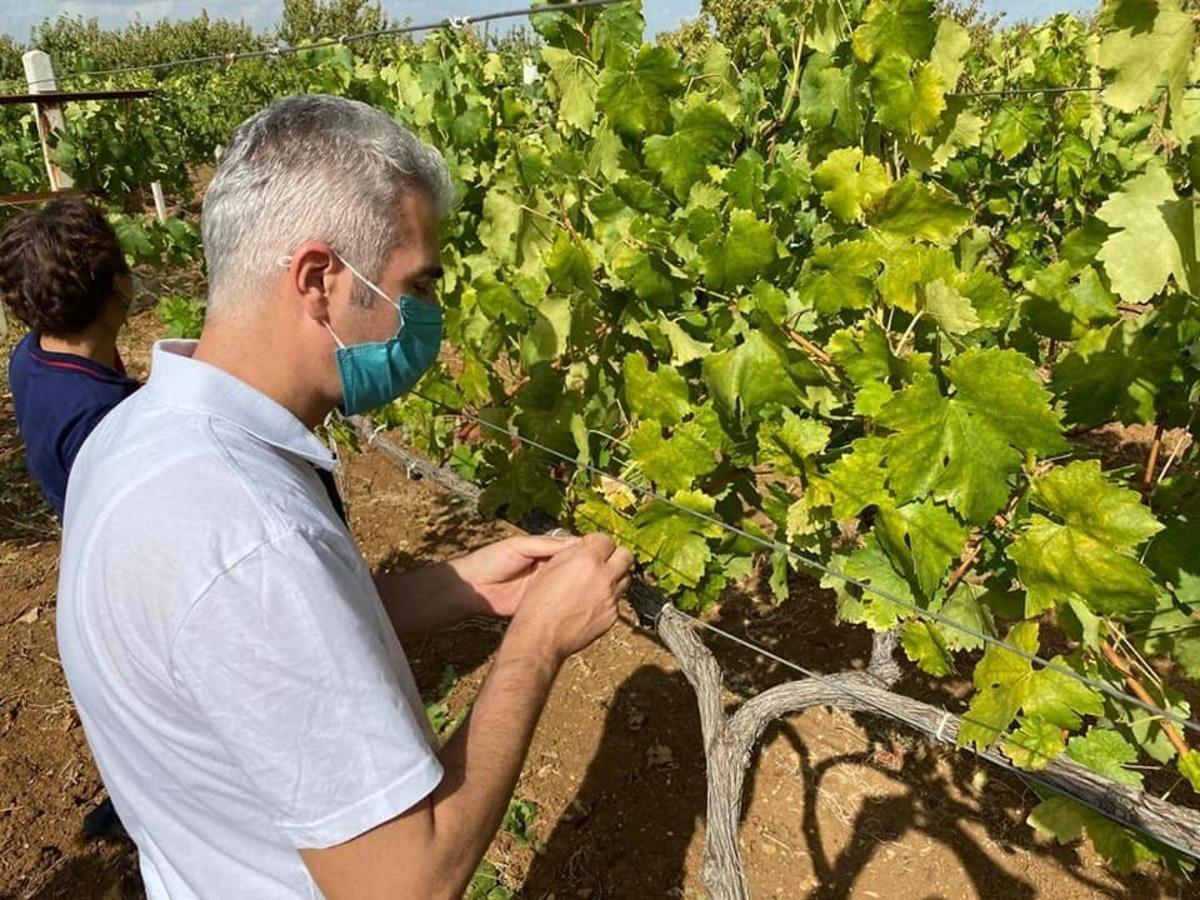 Bilecik&rsquo;te &rsquo;armut kaplanı&rsquo; b&ouml;ceği kontrol&uuml; yapıldı