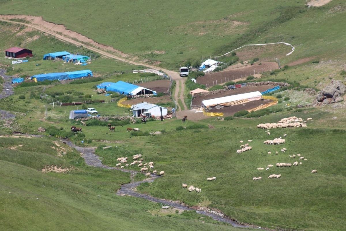 Yaylacılık k&uuml;lt&uuml;r&uuml;n&uuml; araştırıyorlar