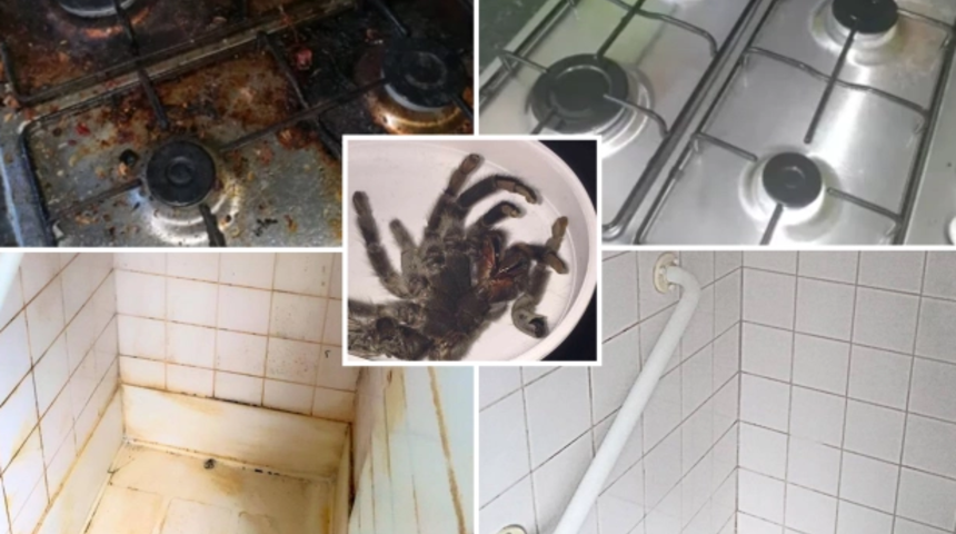Yerdeki dışkı torbalarından, dolaptaki tarantulaya. D&uuml;nyanın en kirli evleri