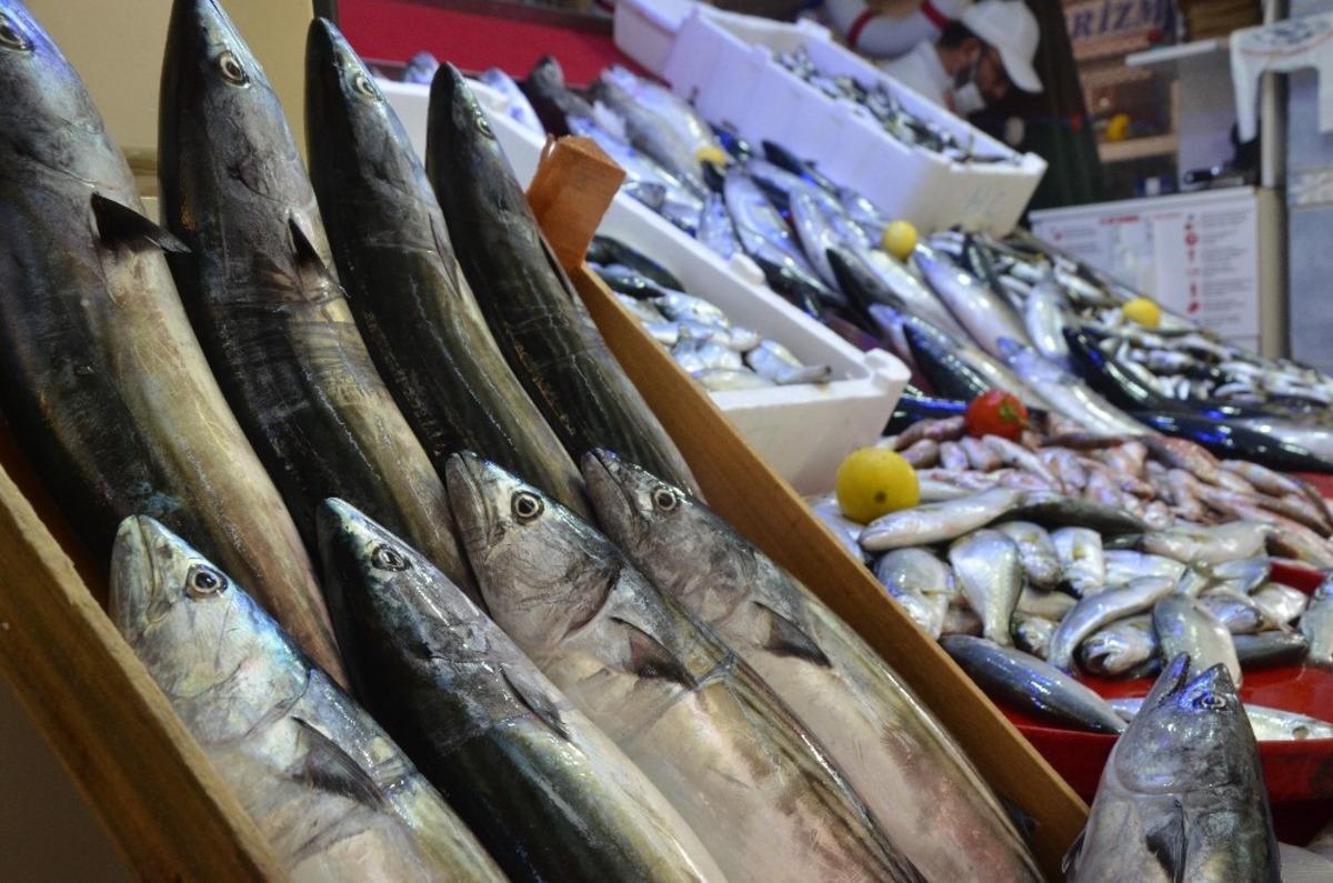 Kiloluk palamut 10 lira