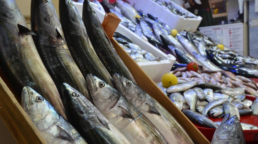 Bolluk yaşanıyor! Kiloluk palamut 10 liradan satılıyor