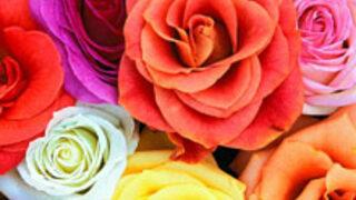 Haziran Ayı Burç Yorumları