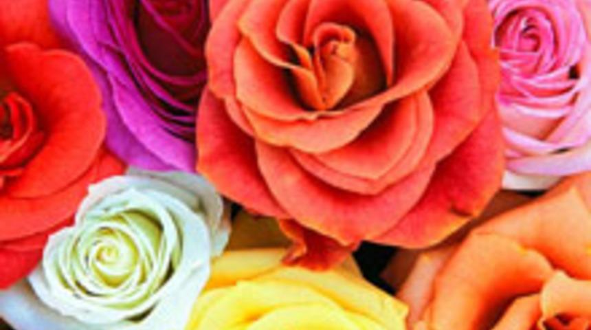 Haziran Ayı Bur&ccedil; Yorumları