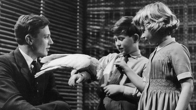 Attenborough 1950lerden bu yana çevreyle ilgili programlar yapıyor. Bu fotoğrafta Prens Charles ve kız kardeşi Prenses Anne'a bir papağan gösterirken görülüyor.