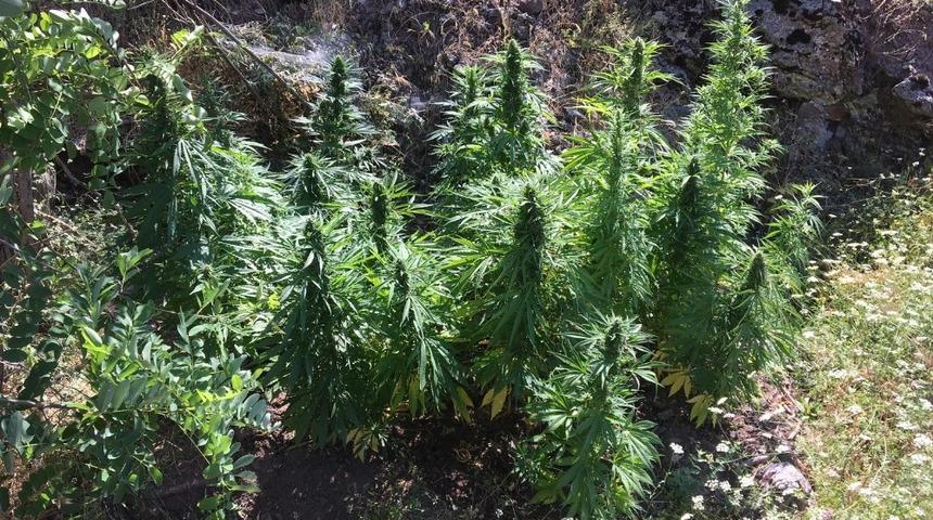 Malatya&rsquo;da uyuşturucuya ge&ccedil;it yok