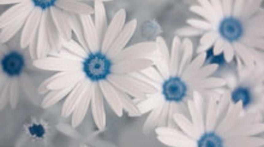 Merk&uuml;r İkizler Boğa 