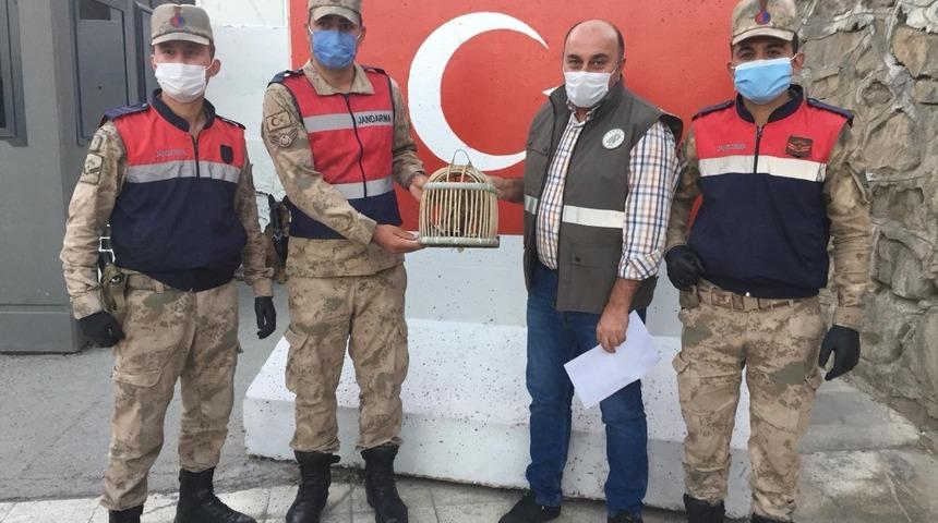 Kaçak avlanılan Kerkeneze el konuldu