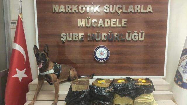 Van’da 95 kilo 240 gram likit eroin maddesi ele geçirildi