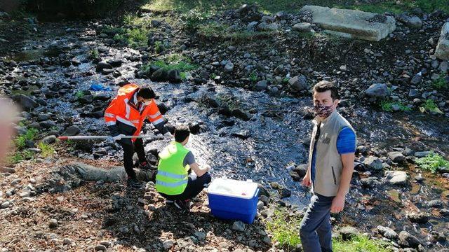 Efteni gölünü besleyen derelerden numune alındı