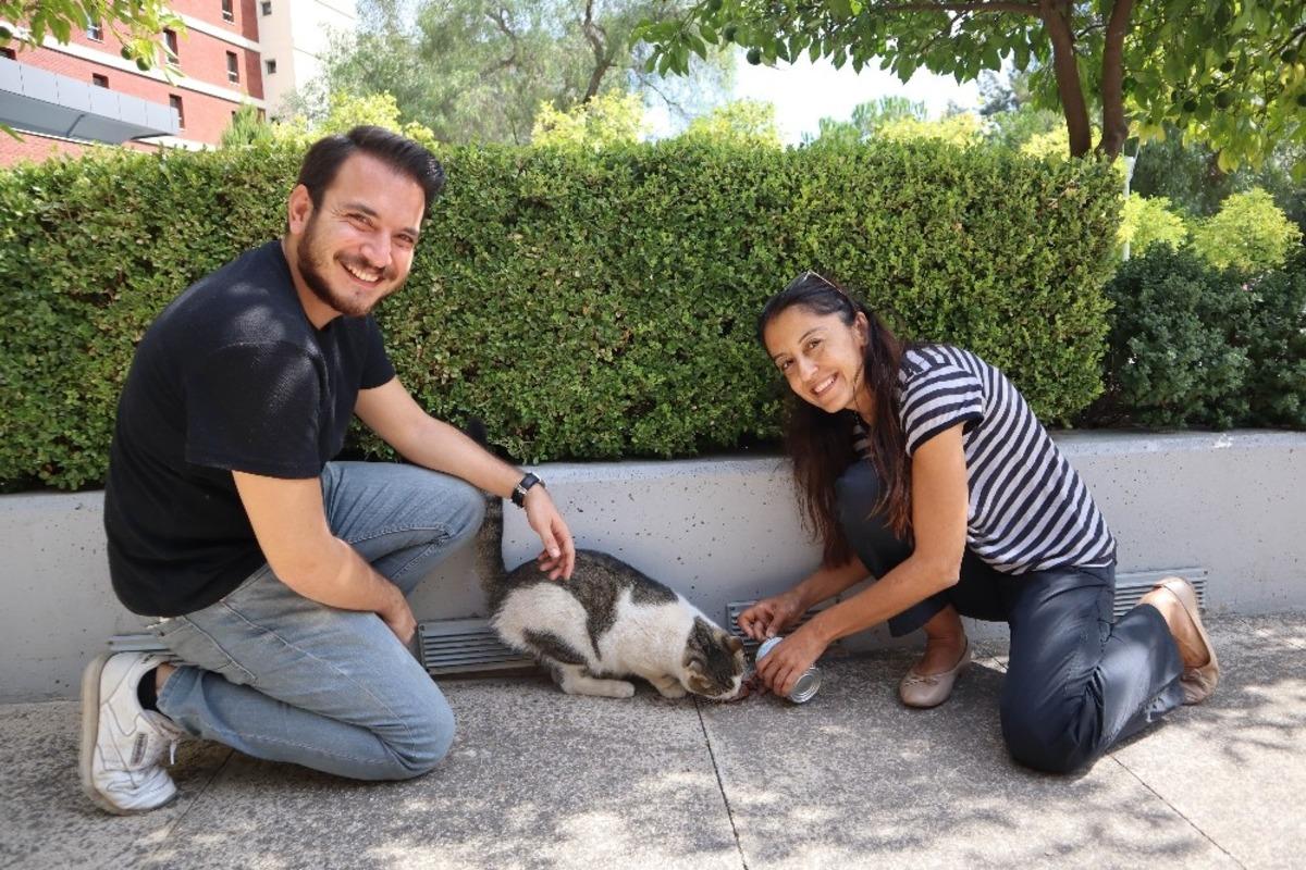 Kamp&uuml;ste &lsquo;sevgi&rsquo; n&ouml;beti