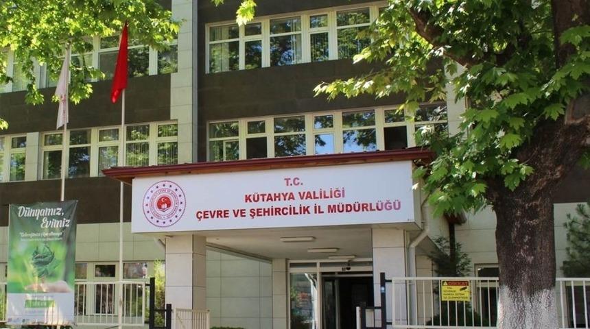 Tartışmalı &ccedil;ınar ağacının yaşı yeniden tespit edilecek