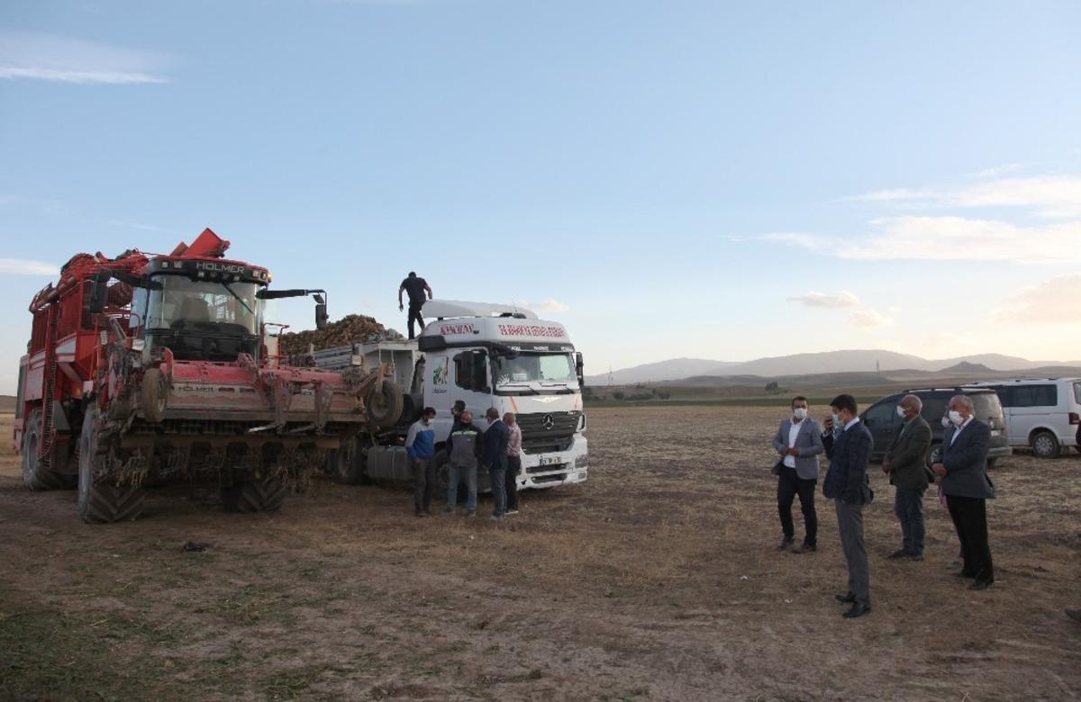 Bitlis&rsquo;te 160 bin ton şeker pancarı hasadı bekleniyor