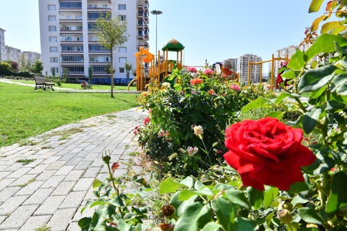 Yeşilyurt renklendi