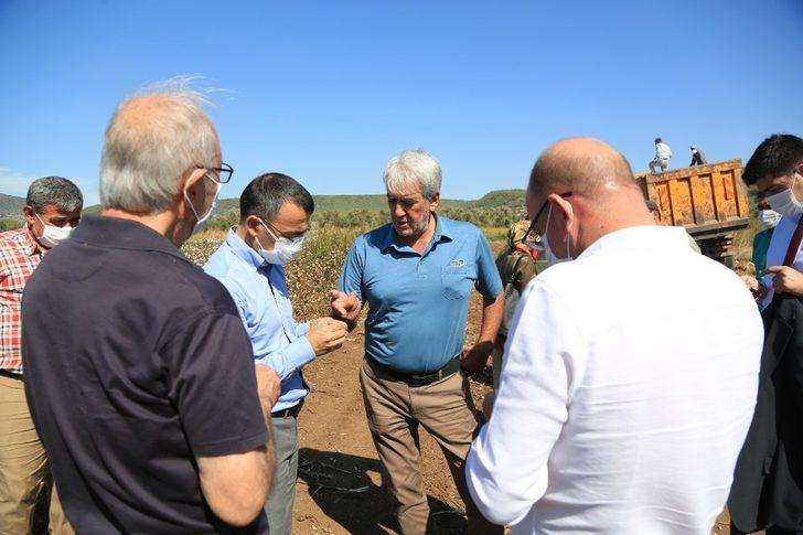 Beyaz altında hasat dönemi başladı G1