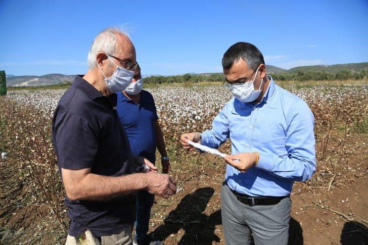 Beyaz altında hasat dönemi başladı G2