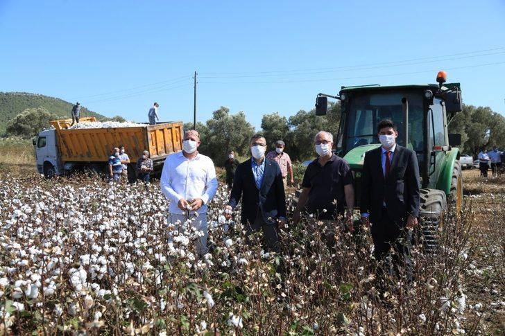 Beyaz altında hasat dönemi başladı G3
