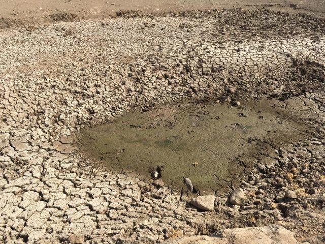 Düzlen’deki göletler temizleniyor 1