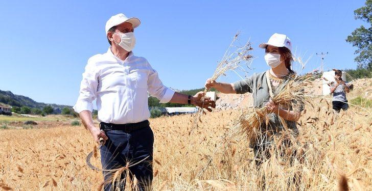 Mersin’de tarım kalkınıyor, üretici kazanıyor G3