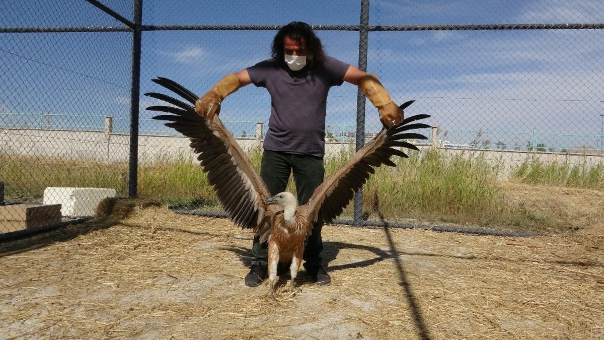 Prof. Dr. Aslan: &ldquo;&Ccedil;evresini ve hayvanları korumayan insan, kendi sonunu hazırlamıştır&rdquo;