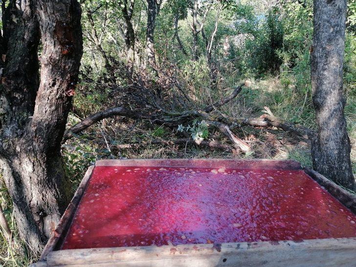 Kazanlar Kaynamaya, Pelverdeler hazırlanmaya başladı G2