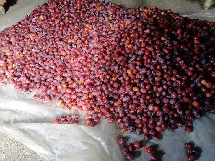 Kazanlar Kaynamaya, Pelverdeler hazırlanmaya başladı G3