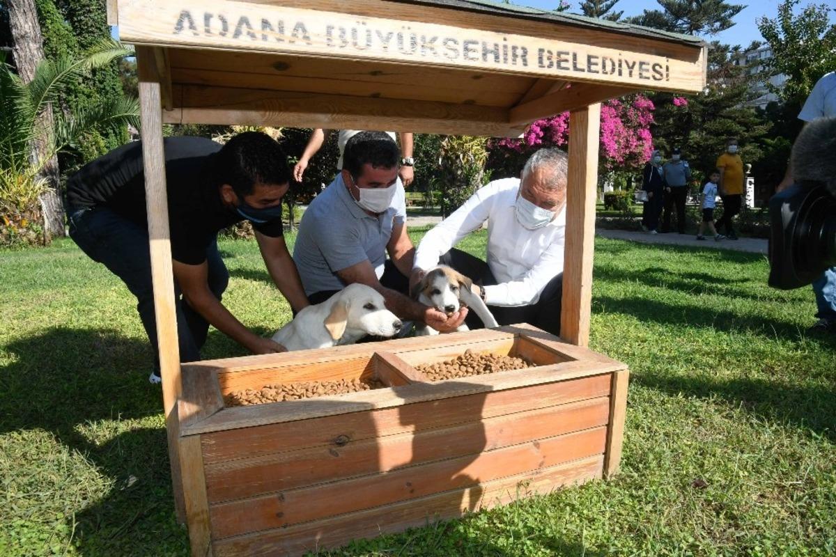 Adana&rsquo;da parklara mamalık ve suluk yerleştirildi