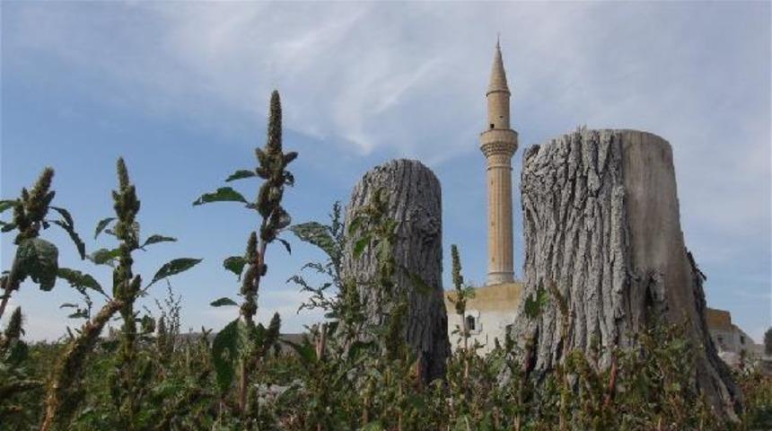 Köylerinin ortaya çıkmasını gözyaşları içerisinde izlediler