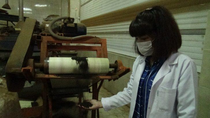 Giresun fındıktan sonra çay üretiminde de iddialı G4