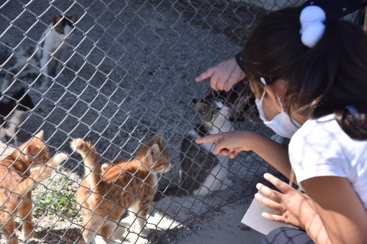 Minikler barınakta hayvanlarla bir g&uuml;n ge&ccedil;irdi