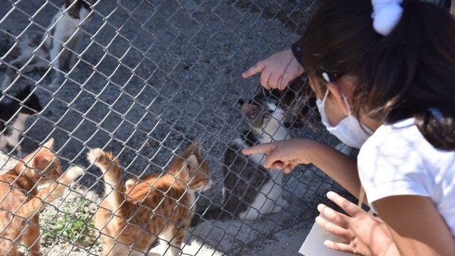 Minikler barınakta hayvanlarla bir gün geçirdi