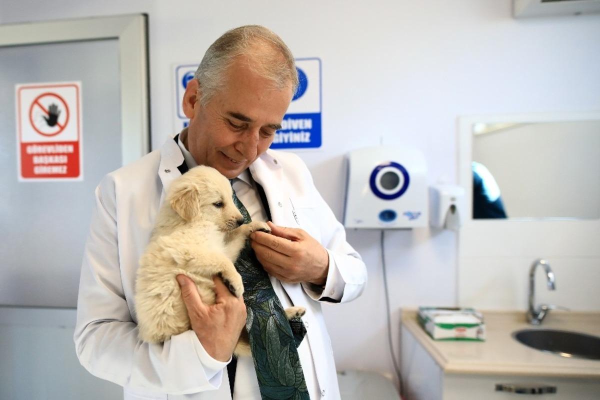 Can dostlar B&uuml;y&uuml;kşehire emanet