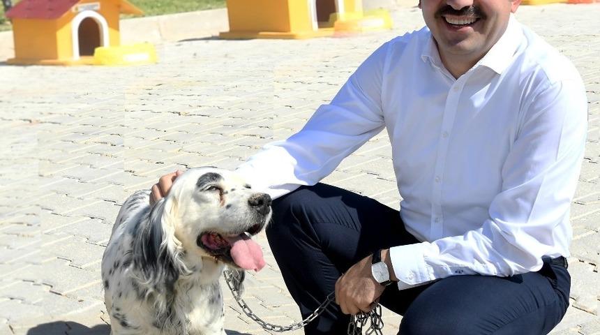 Başkan Altay: "Sokak hayvanları i&ccedil;in &ouml;rnek &ccedil;alışmalar y&uuml;r&uuml;t&uuml;yoruz"