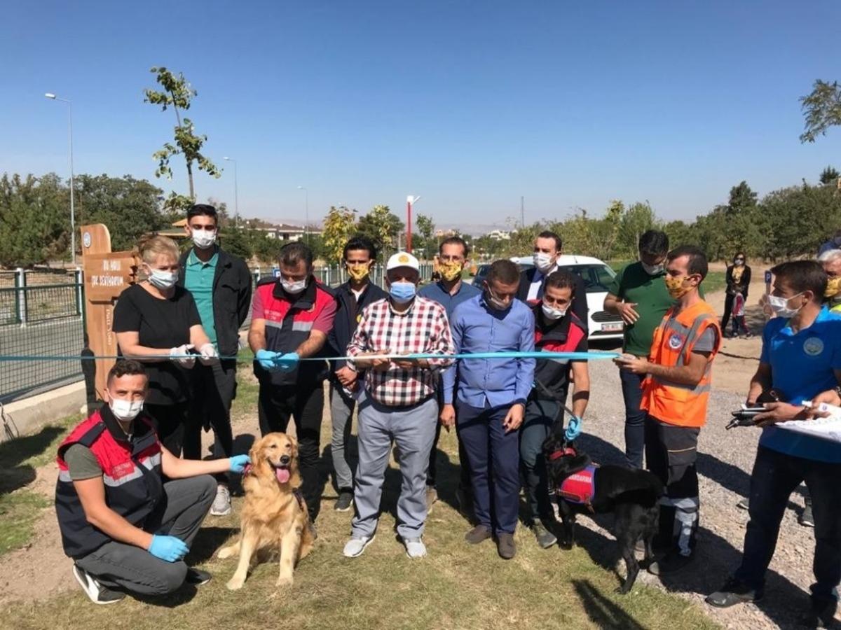 Patik&ouml;yl&uuml; belediyeden hayvanlar i&ccedil;in &lsquo;Patiyol&rsquo;