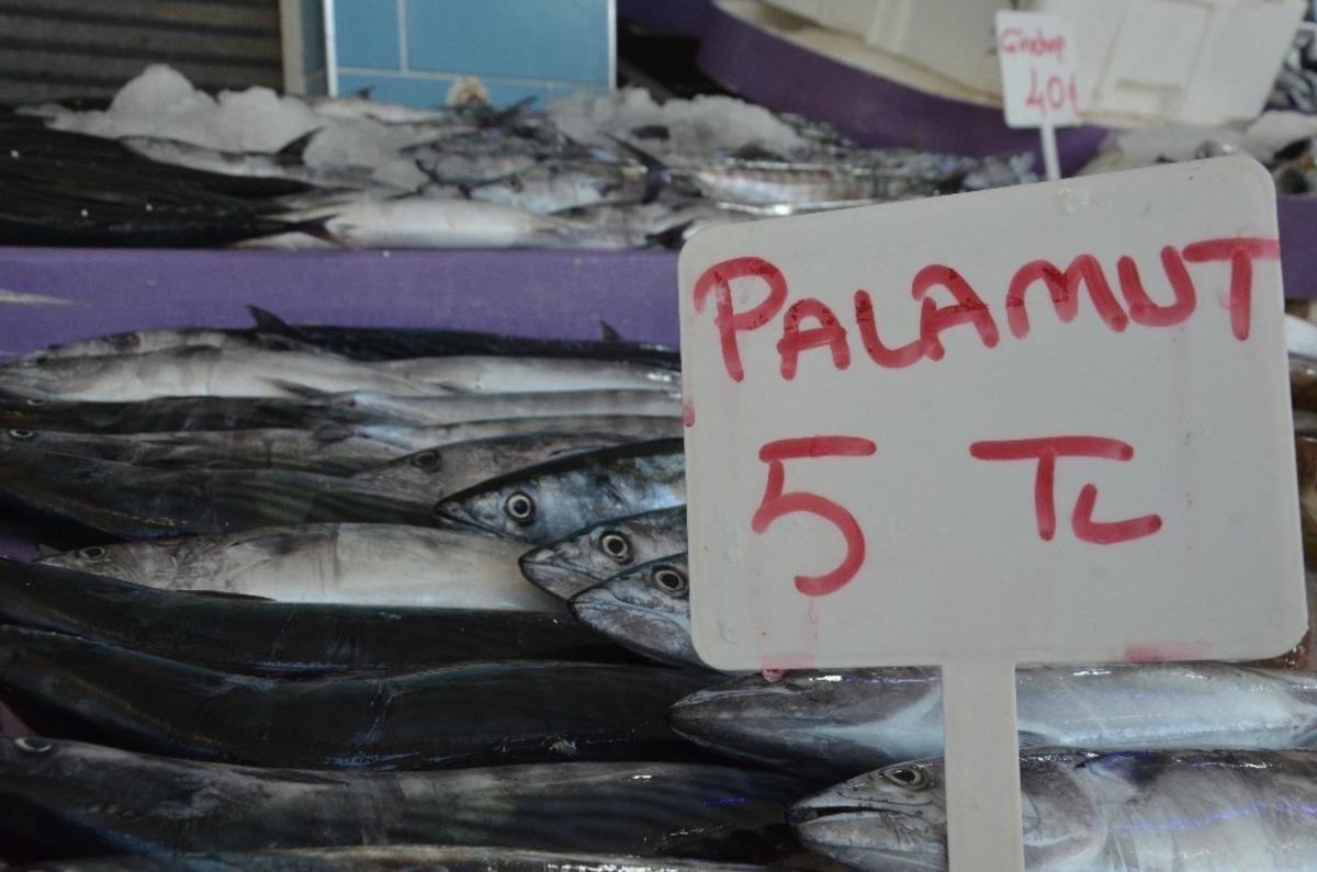 Palamut 5 liraya geriledi