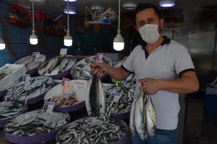 Palamut 5 liraya geriledi G3