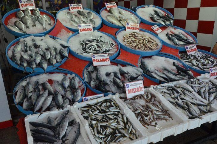 Palamut 5 liraya geriledi G5