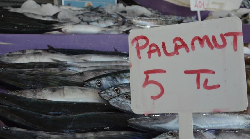 Palamut bereketi! Fiyatı 5 liraya geriledi