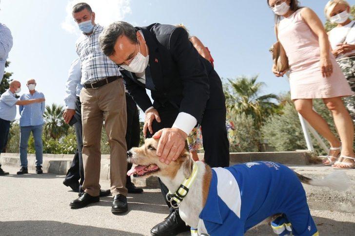 Konak’ta sokak hayvanları için anlamlı farkındalık G2