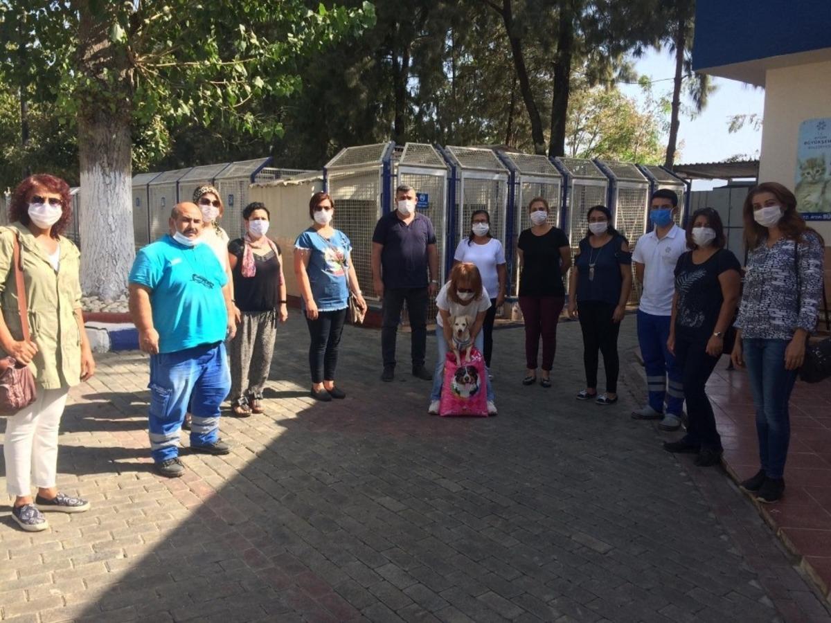 Aydın&rsquo;da hayvanat bah&ccedil;esi ve barınaklar ziyaret&ccedil;i akınına uğradı