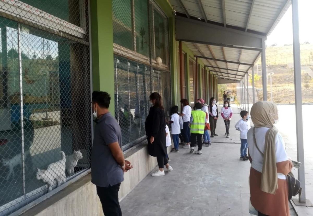 Van B&uuml;y&uuml;kşehir Belediyesi Hayvan Barınağı tam not aldı