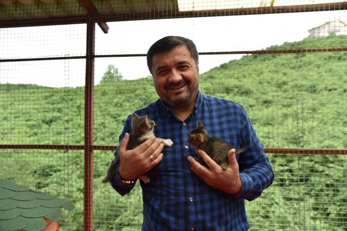 Giresun Belediyesi Hayvan Barınağı, sokak hayvanlarına g&uuml;venli bir barınak oluyor