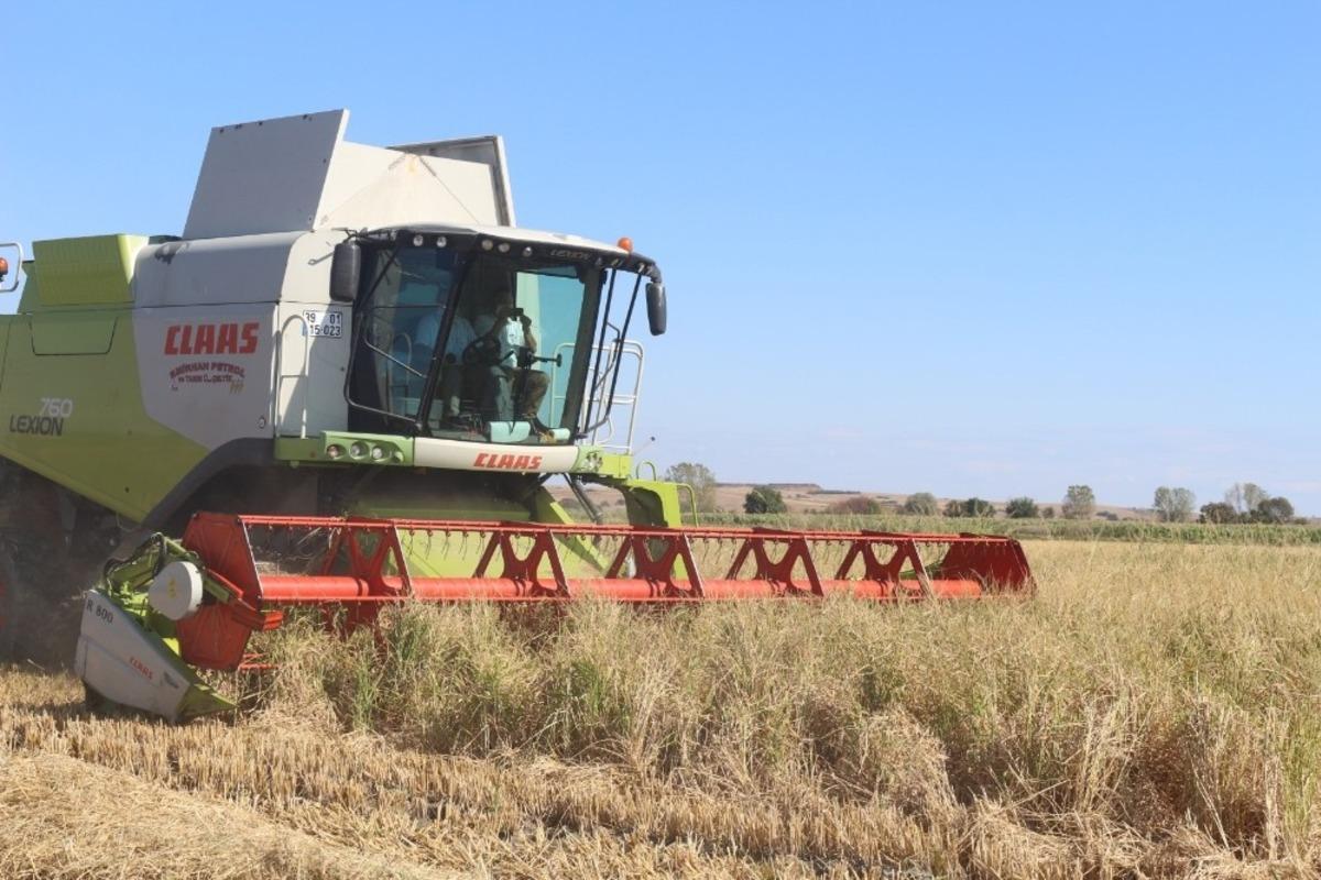 Kırklareli&rsquo;de &ccedil;eltik hasadı