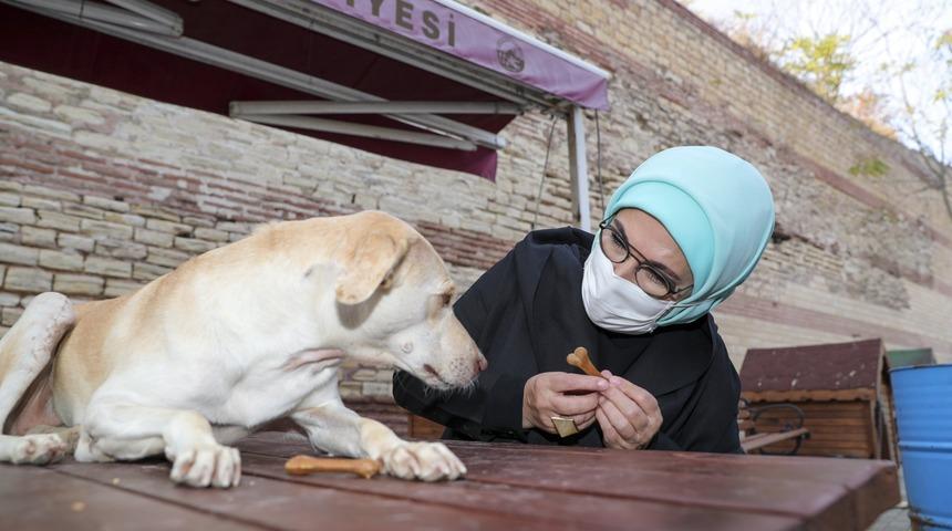 Emine Erdoğan, engelli köpek 'Leblebi'yi sahiplendi