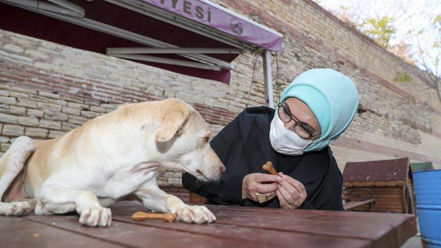 Emine Erdoğan, engelli köpek 'Leblebi'yi sahiplendi