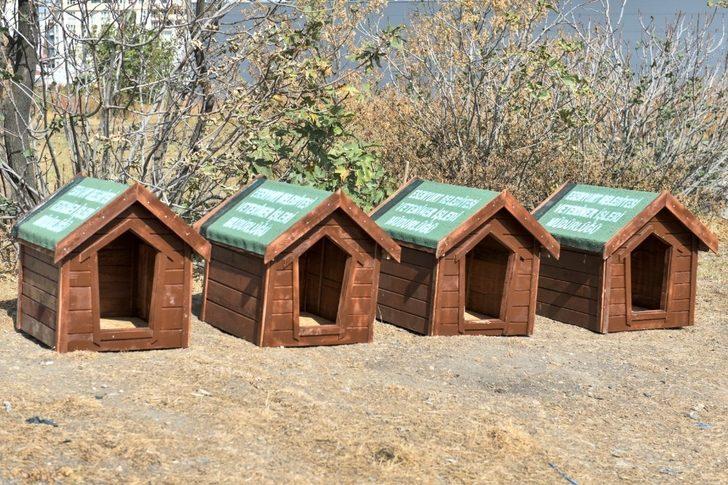 Esenyurt Belediyesi hayvan dostlarını unutmadı G1