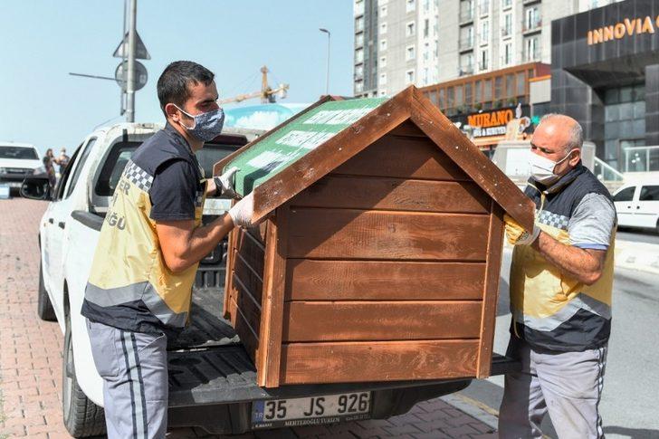 Esenyurt Belediyesi hayvan dostlarını unutmadı G4
