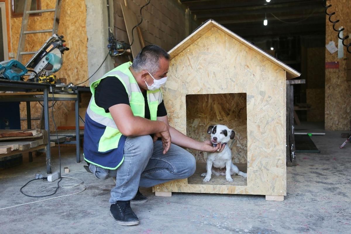 Atakum Belediyesi&rsquo;nin &uuml;retim at&ouml;lyesinde ilk kontrol&uuml; &lsquo;Leydi&rsquo; yapıyor
