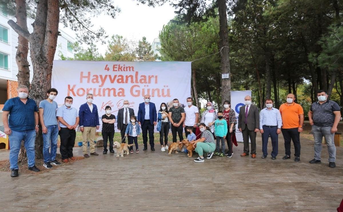 Canik Belediyesi&rsquo;nden hayvan hakları etkinliği