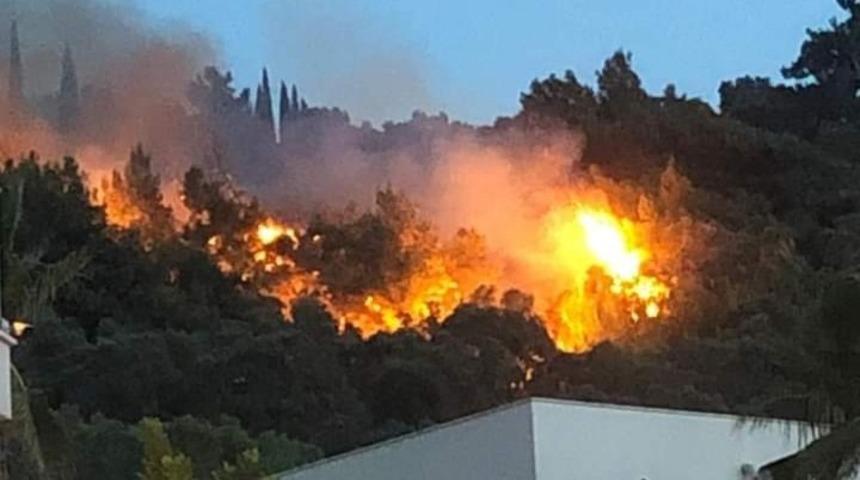 Söke’de zeytinlik ve ormanlık alanda yangın